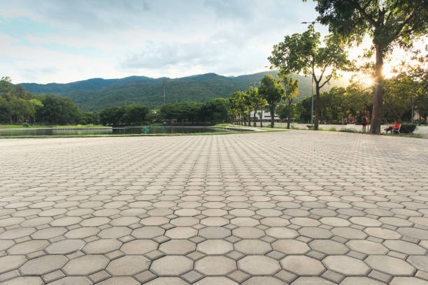 Best Residential Driveway Paver Services  in Lumberton, NC
